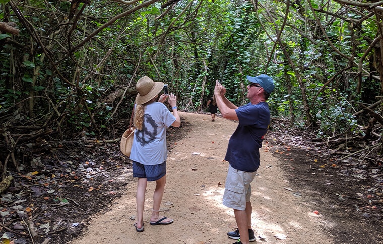 2 people with cameras walking through a forest taking photos