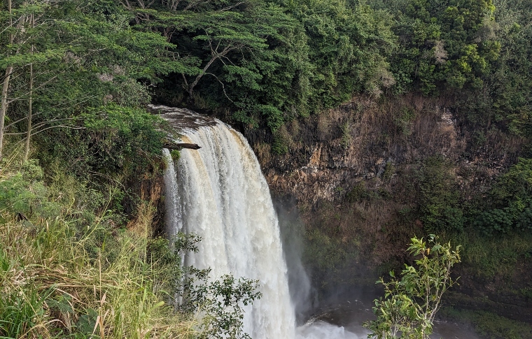 waterfall surrounded by lush flora of Kauai