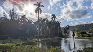 beautiful view in Kauai